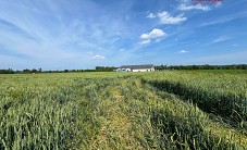 Działka na sprzedaż - Chałupki
