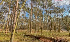 Działka na sprzedaż - Nędza