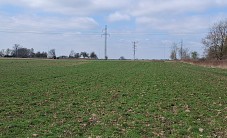 Działka na sprzedaż - Żory