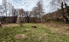 Działka na sprzedaż - Bystra